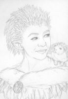 Hedgehog Fairy